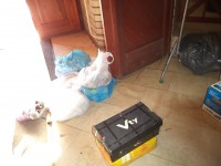 /album/szallitasra-elokeszulve/dsc01343-jpg/